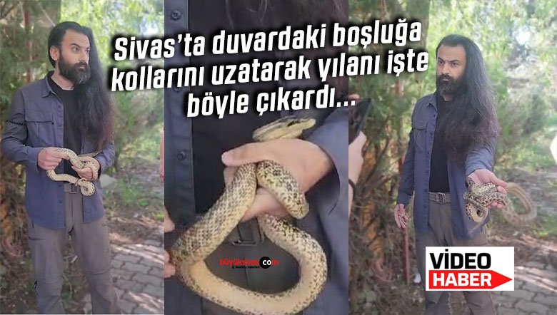 Sivas’ta duvardaki boşluktan yılanı elleriyle böyle çıkardı!
