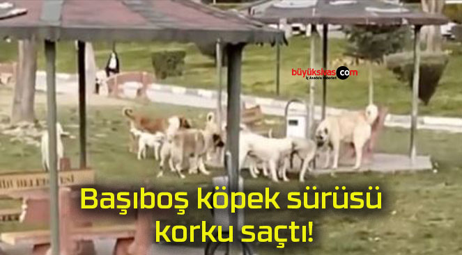korkusa