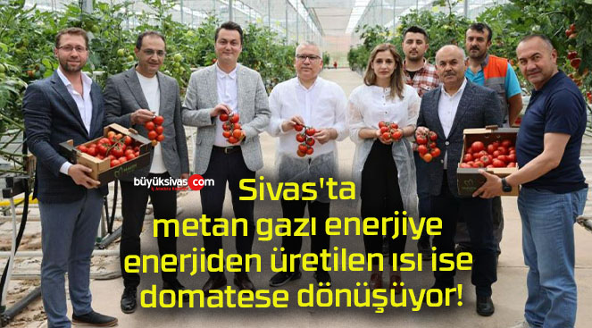 nüşüyorsa