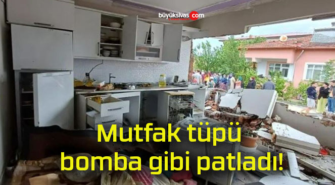 patladısa