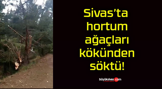 Sivas’ta hortum ağaçları kökünden söktü!