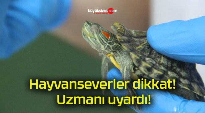 Hayvanseverler dikkat! Uzmanı uyardı!