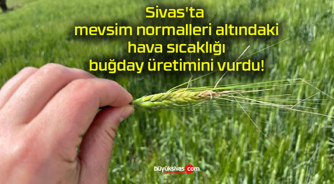 vurdus