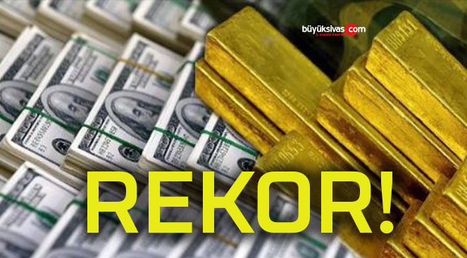Merkez Bankası’nın rezervinde yeni rekor!
