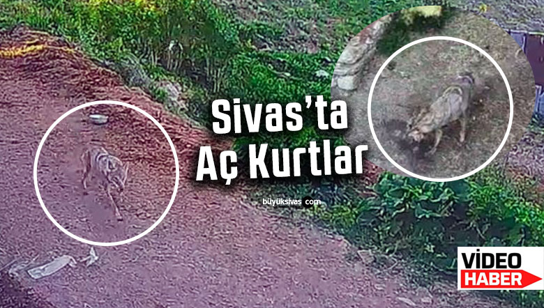 aç