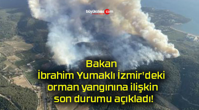 açıkladıs