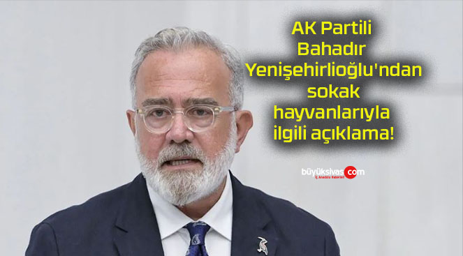 açıklamas