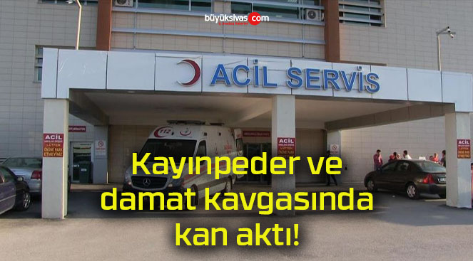 Kayınpeder ve damat kavgasında kan aktı!