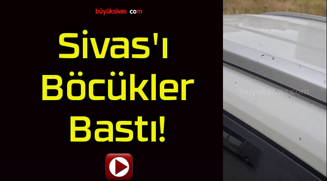 bastısa