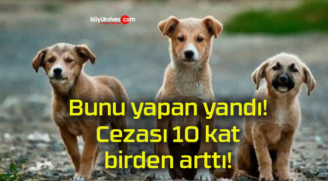 Bunu yapan yandı! Cezası 10 kat birden arttı!