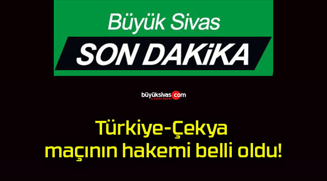 Türkiye-Çekya maçının hakemi belli oldu!