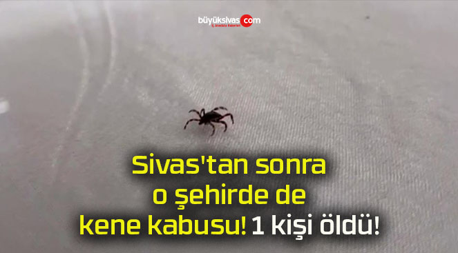 Sivas’tan sonra o şehirde de kene kabusu! 1 kişi öldü!