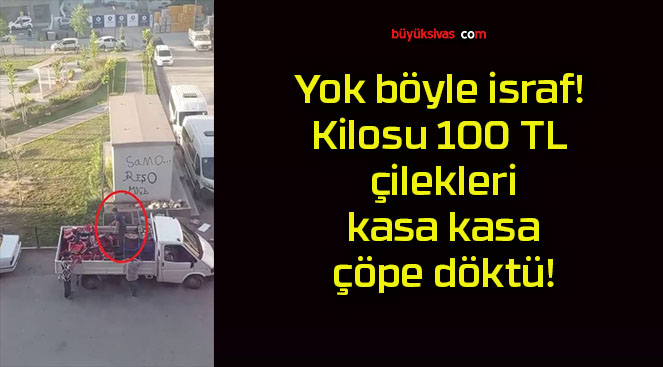 Yok böyle israf! Kilosu 100 TL çilekleri kasa kasa çöpe döktü!