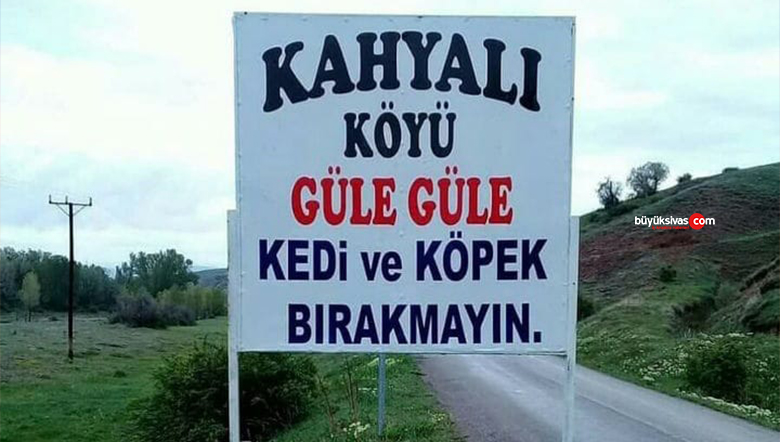 Sivas Kahyalı Köylüler Başıboş Sokak Köpeklerinden Bıktı!