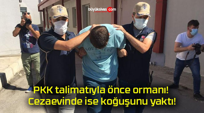 koğuş