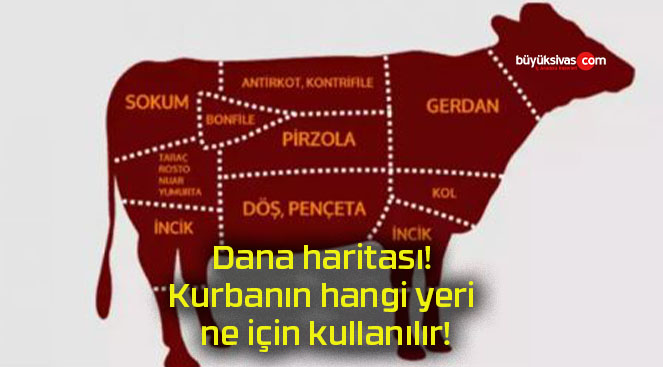 kurbans