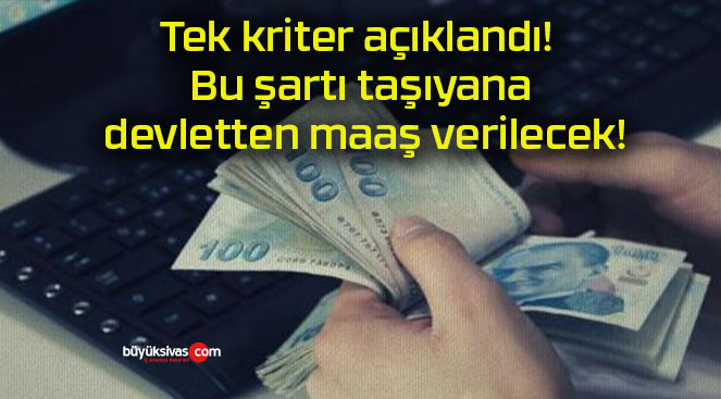 Tek kriter açıklandı! Bu şartı taşıyana devletten maaş verilecek!