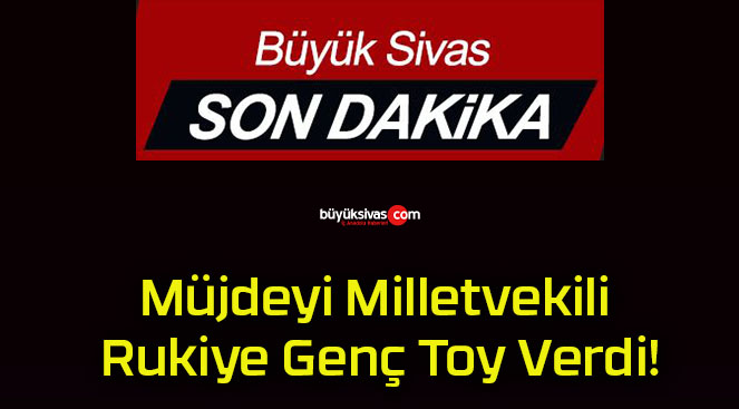 milletvekilis