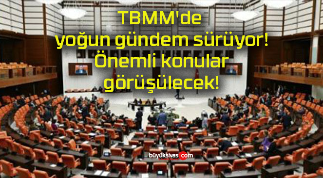 TBMM’de yoğun gündem sürüyor! Önemli konular görüşülecek!