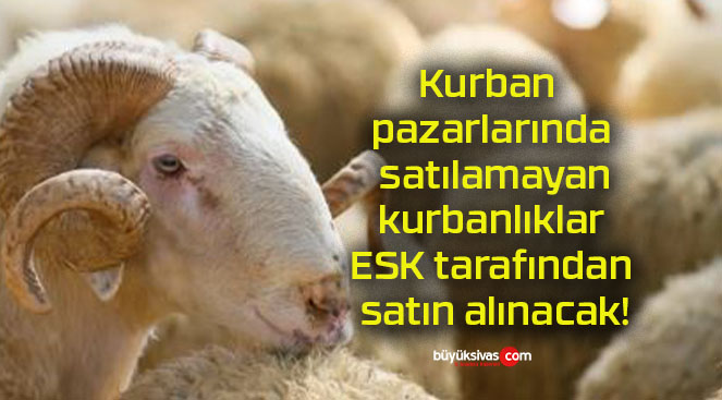 Kurban pazarlarında satılamayan kurbanlıklar ESK tarafından satın alınacak!