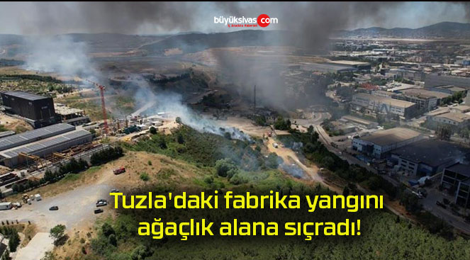 sıçradı