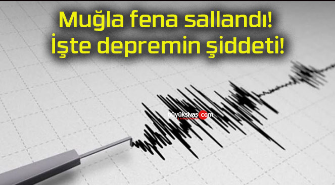 şiddet