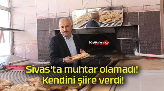 şiirs