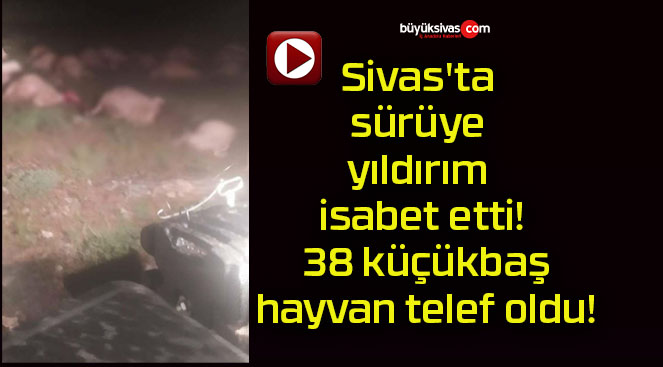 sürüye