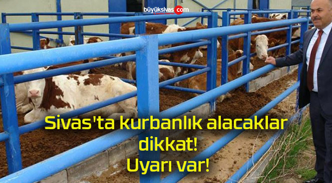 yarı