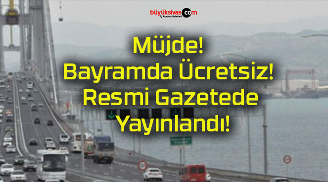 yayınla