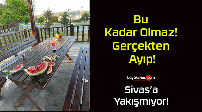 Bu Kadar Olmaz! Gerçekten Ayıp!