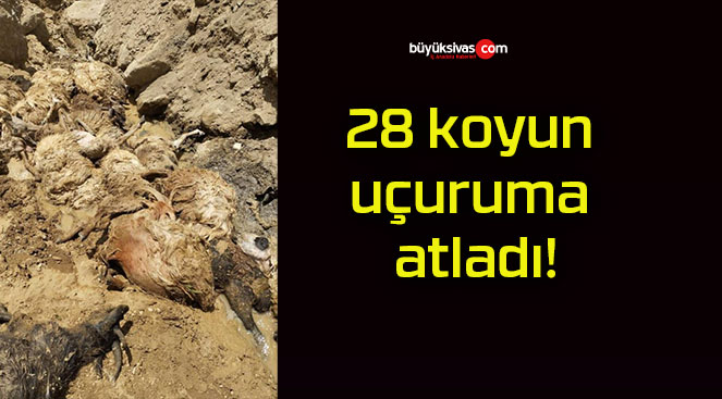 28 koyun uçuruma atladı!