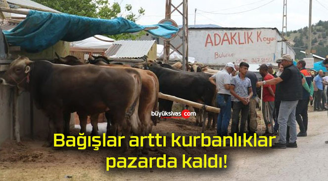 zarda