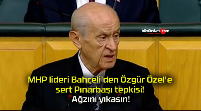 zınıs