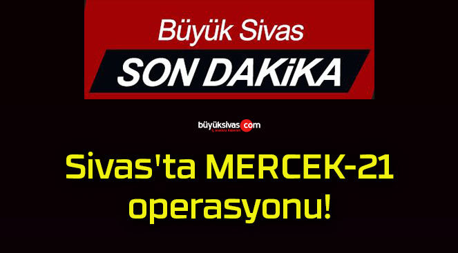 Mercek