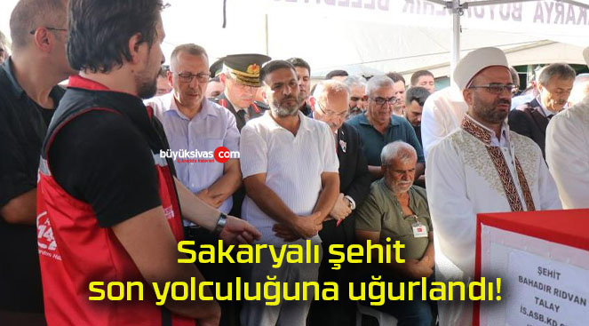 anıdsa