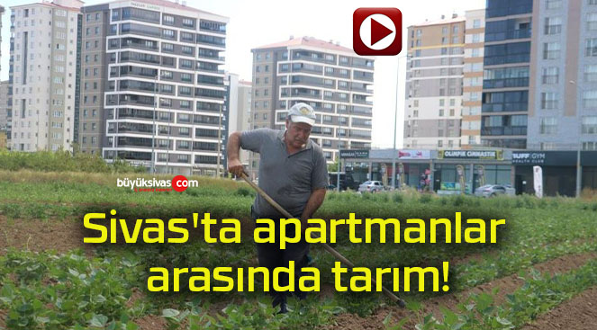 arası