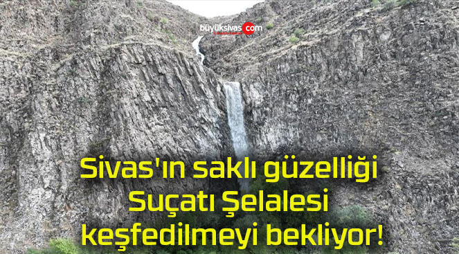 bekliyorsa