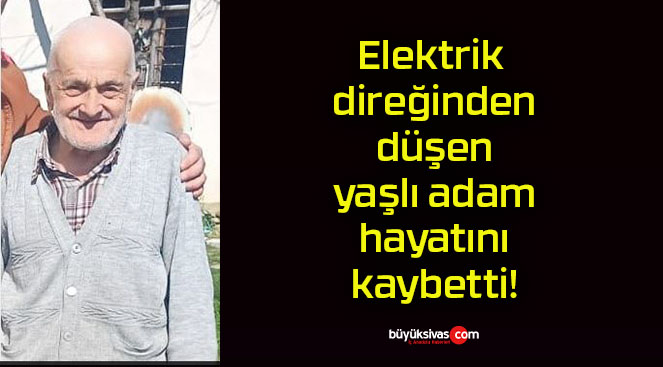 bettisa