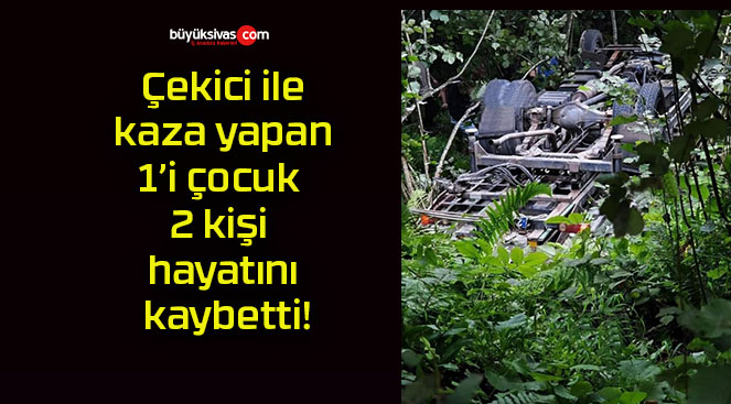 bettisa