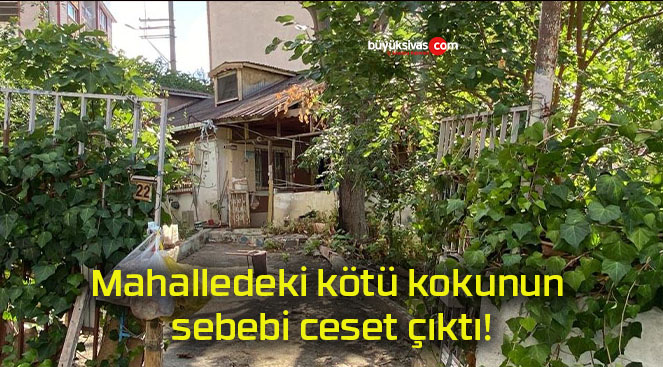 çıktıs