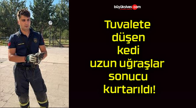 Tuvalete düşen kedi uzun uğraşlar sonucu kurtarıldı!