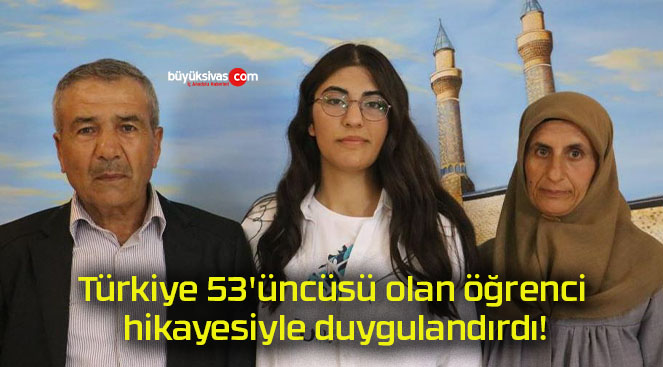 duygu