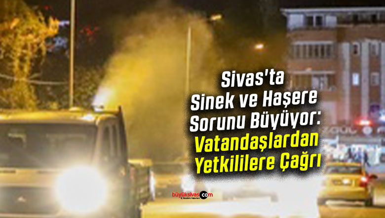 hş