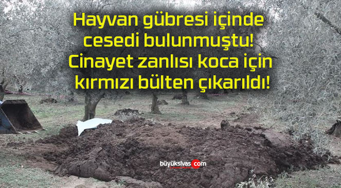 Hayvan gübresi içinde cesedi bulunmuştu! Cinayet zanlısı koca için kırmızı bülten çıkarıldı!