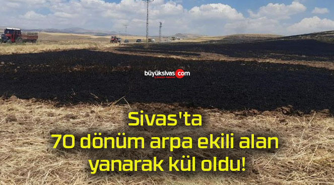 Sivas’ta 70 dönüm arpa ekili alan yanarak kül oldu!