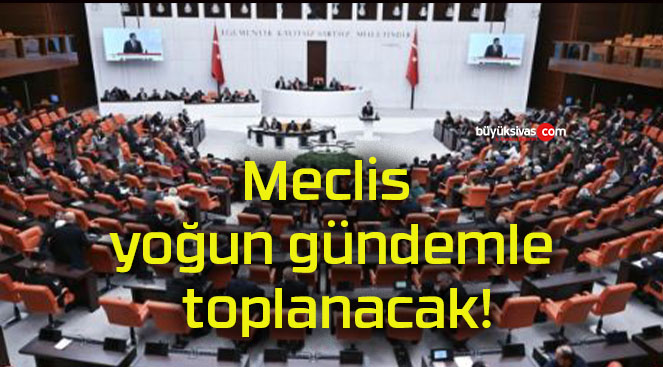 Meclis yoğun gündemle toplanacak!