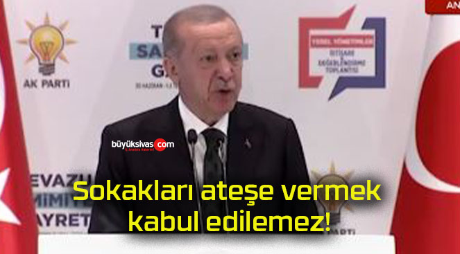 lemez