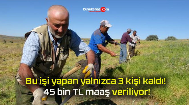 Bu işi yapan yalnızca 3 kişi kaldı! 45 bin TL maaş veriliyor!