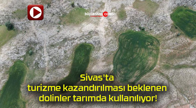 nılıyors